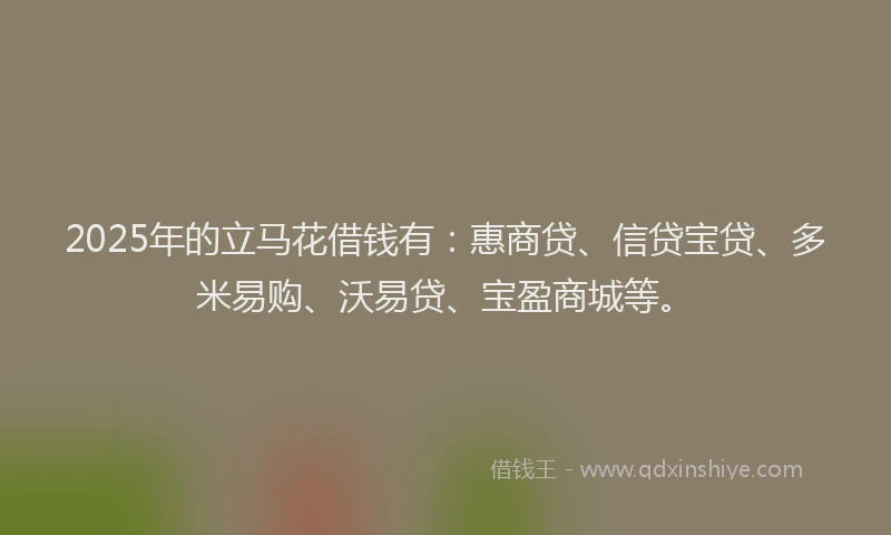 2025年的立马花借钱有：惠商贷、信贷宝贷、多米易购、沃易贷、宝盈商城等。