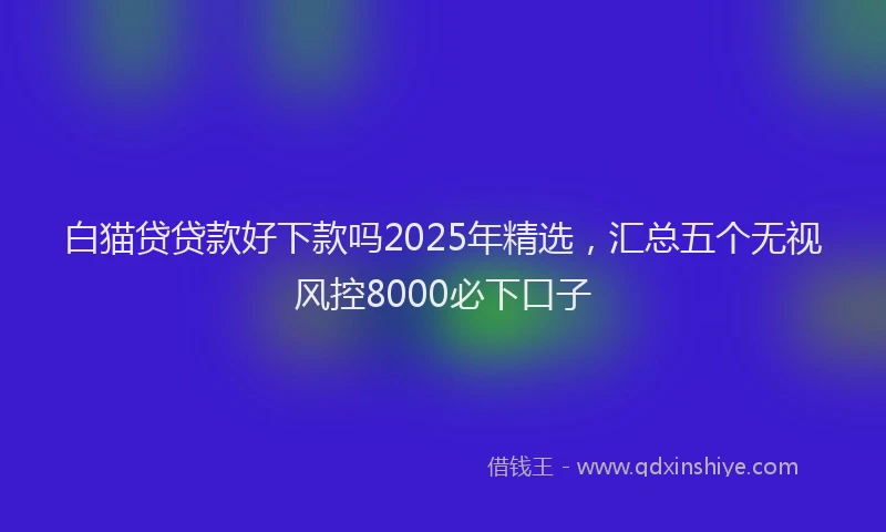 白猫贷贷款好下款吗2025年精选，汇总五个无视风控8000必下口子
