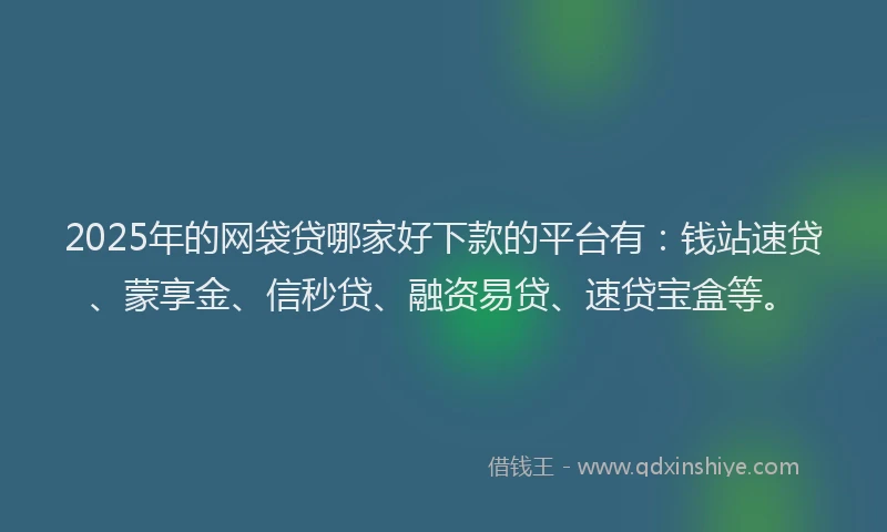 2025年的网袋贷哪家好下款的平台有：钱站速贷、蒙享金、信秒贷、融资易贷、速贷宝盒等。