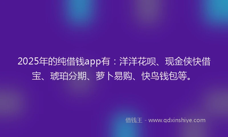 2025年的纯借钱app有：洋洋花呗、现金侠快借宝、琥珀分期、萝卜易购、快鸟钱包等。