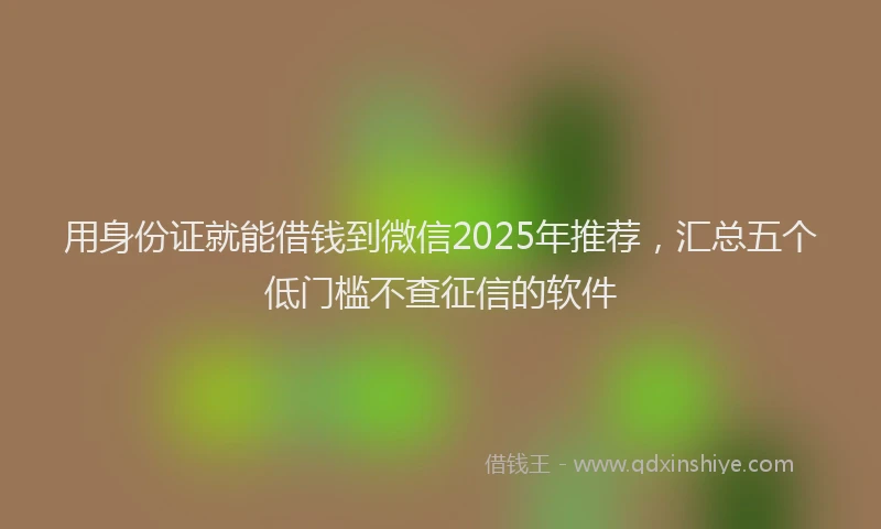 用身份证就能借钱到微信2025年推荐，汇总五个低门槛不查征信的软件