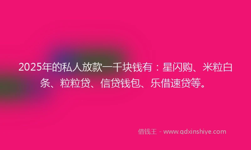 2025年的私人放款一千块钱有：星闪购、米粒白条、粒粒贷、信贷钱包、乐借速贷等。
