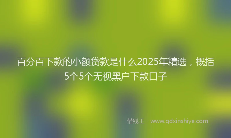 百分百下款的小额贷款是什么2025年精选，概括5个5个无视黑户下款口子