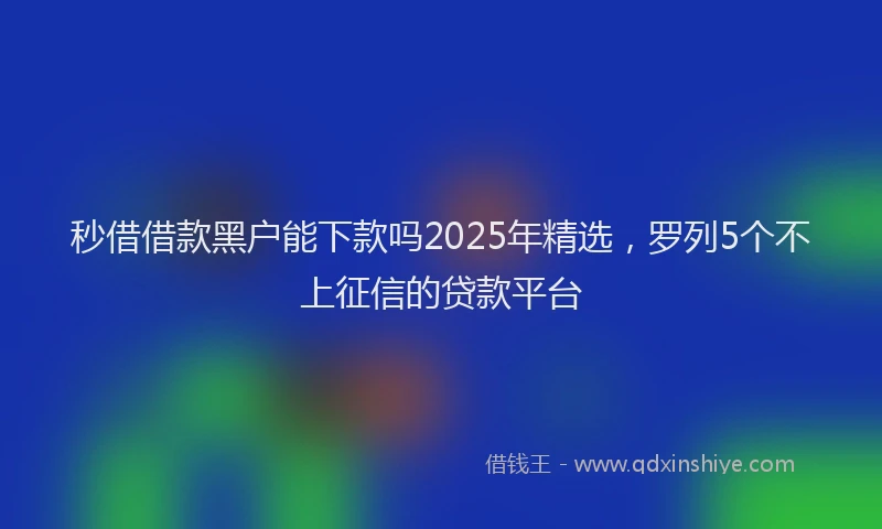 秒借借款黑户能下款吗2025年精选，罗列5个不上征信的贷款平台