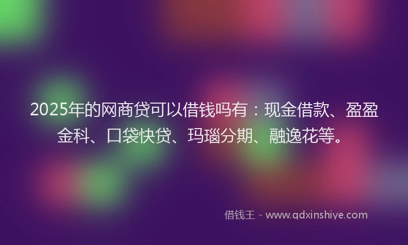 2025年的网商贷可以借钱吗有：现金借款、盈盈金科、口袋快贷、玛瑙分期、融逸花等。