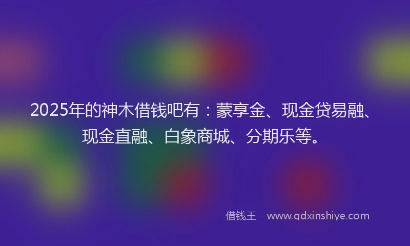 2025年的神木借钱吧有：蒙享金、现金贷易融、现金直融、白象商城、分期乐等。