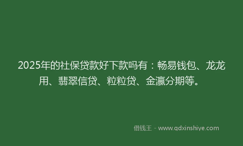 2025年的社保贷款好下款吗有：畅易钱包、龙龙用、翡翠信贷、粒粒贷、金瀛分期等。