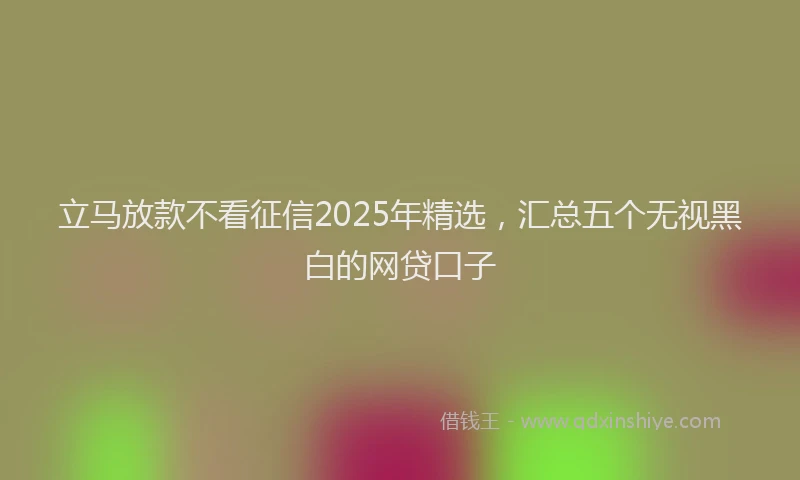 立马放款不看征信2025年精选，汇总五个无视黑白的网贷口子