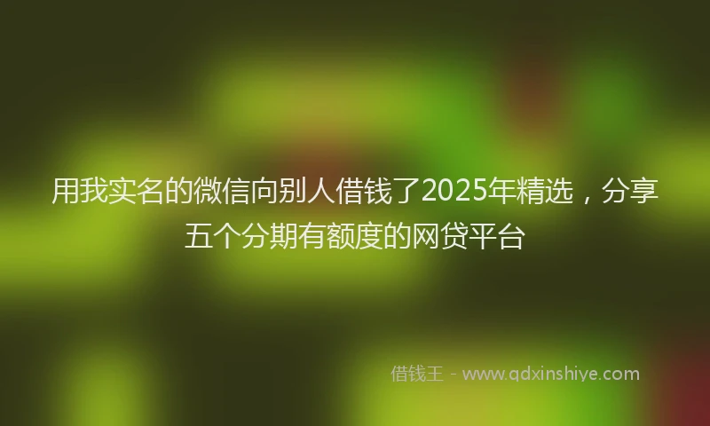 用我实名的微信向别人借钱了2025年精选，分享五个分期有额度的网贷平台