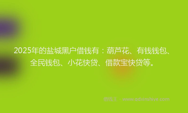 2025年的盐城黑户借钱有：葫芦花、有钱钱包、全民钱包、小花快贷、借款宝快贷等。