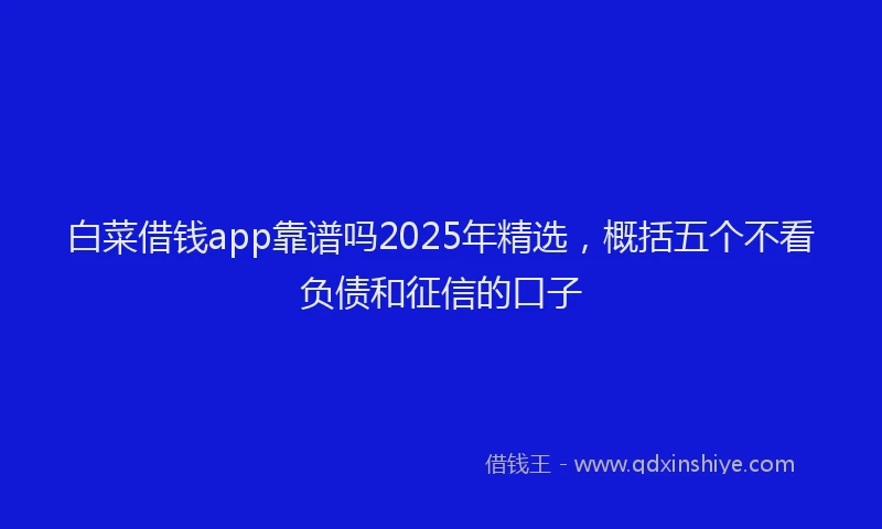 白菜借钱app靠谱吗2025年精选，概括五个不看负债和征信的口子