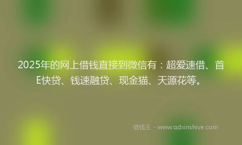 2025年的网上借钱直接到微信有：超爱速借、首E快贷、钱速融贷、现金猫、天源花等。