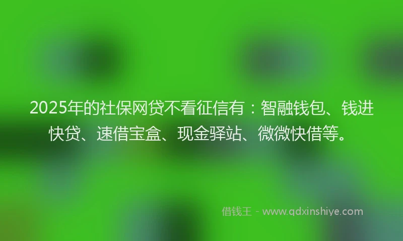 2025年的社保网贷不看征信有：智融钱包、钱进快贷、速借宝盒、现金驿站、微微快借等。