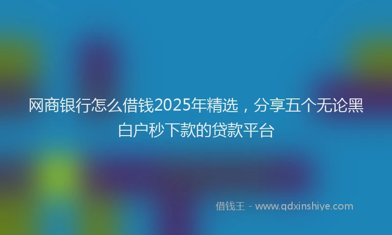 网商银行怎么借钱2025年精选，分享五个无论黑白户秒下款的贷款平台