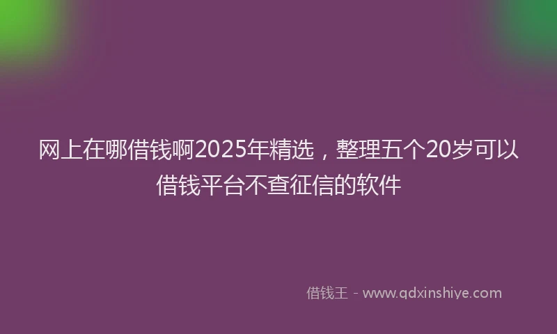 网上在哪借钱啊2025年精选，整理五个20岁可以借钱平台不查征信的软件