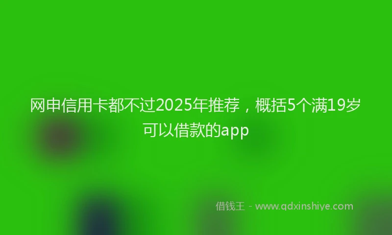 网申信用卡都不过2025年推荐，概括5个满19岁可以借款的app