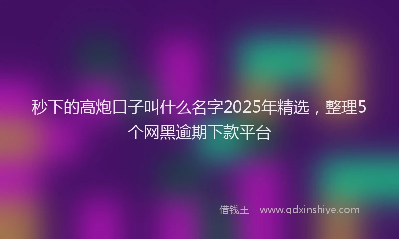 秒下的高炮口子叫什么名字2025年精选，整理5个网黑逾期下款平台