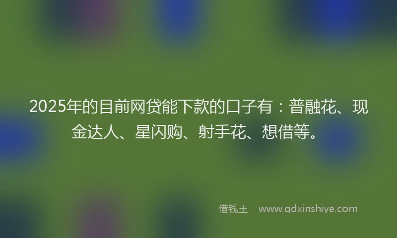2025年的目前网贷能下款的口子有：普融花、现金达人、星闪购、射手花、想借等。