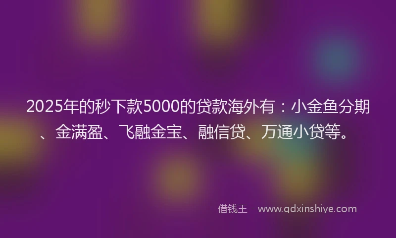 2025年的秒下款5000的贷款海外有：小金鱼分期、金满盈、飞融金宝、融信贷、万通小贷等。