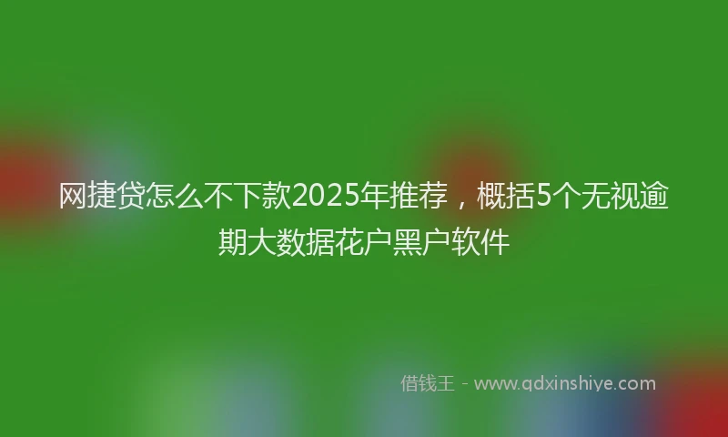 网捷贷怎么不下款2025年推荐，概括5个无视逾期大数据花户黑户软件