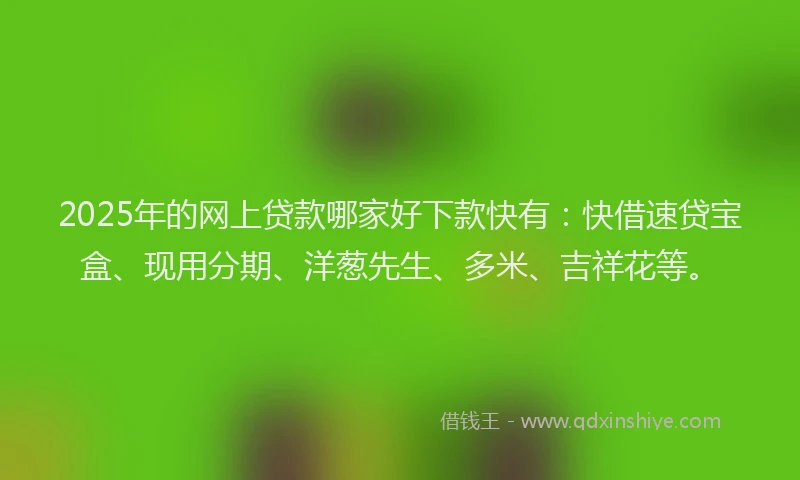 2025年的网上贷款哪家好下款快有：快借速贷宝盒、现用分期、洋葱先生、多米、吉祥花等。