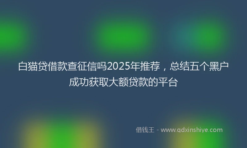 白猫贷借款查征信吗2025年推荐，总结五个黑户成功获取大额贷款的平台