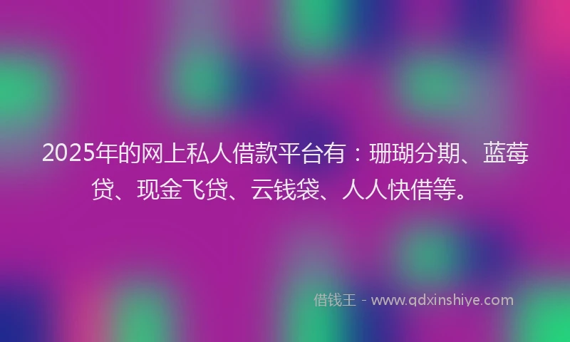 2025年的网上私人借款平台有：珊瑚分期、蓝莓贷、现金飞贷、云钱袋、人人快借等。