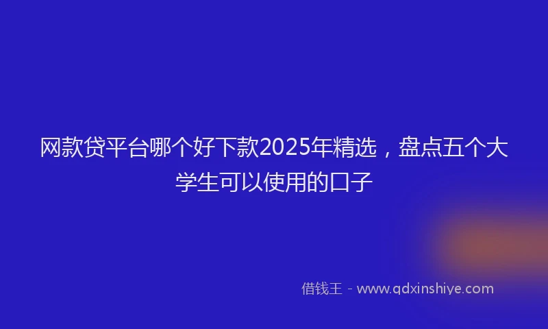 网款贷平台哪个好下款2025年精选，盘点五个大学生可以使用的口子