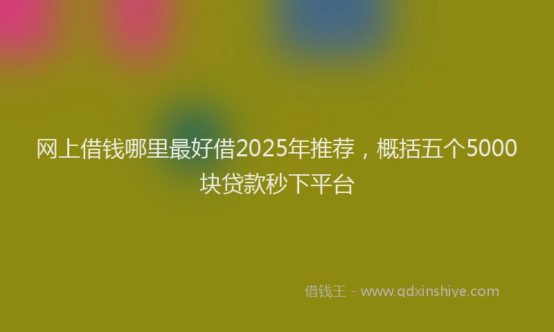 网上借钱哪里最好借2025年推荐，概括五个5000块贷款秒下平台