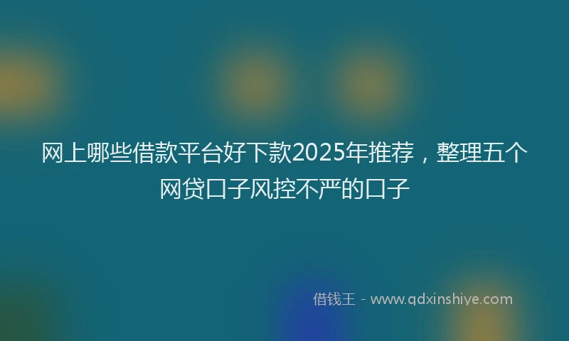 网上哪些借款平台好下款2025年推荐，整理五个网贷口子风控不严的口子