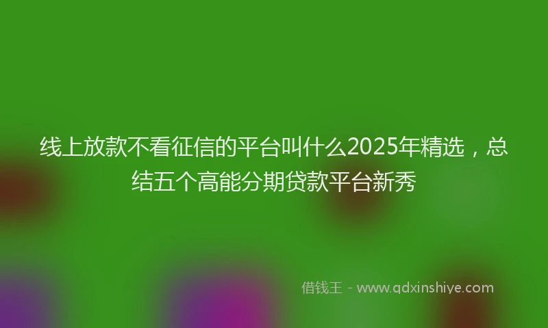线上放款不看征信的平台叫什么2025年精选，总结五个高能分期贷款平台新秀