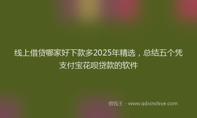 线上借贷哪家好下款多2025年精选，总结五个凭支付宝花呗贷款的软件