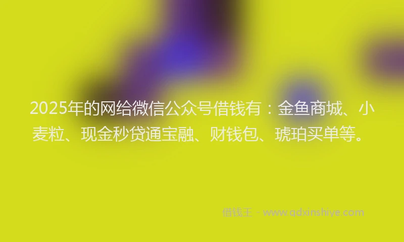 2025年的网给微信公众号借钱有：金鱼商城、小麦粒、现金秒贷通宝融、财钱包、琥珀买单等。