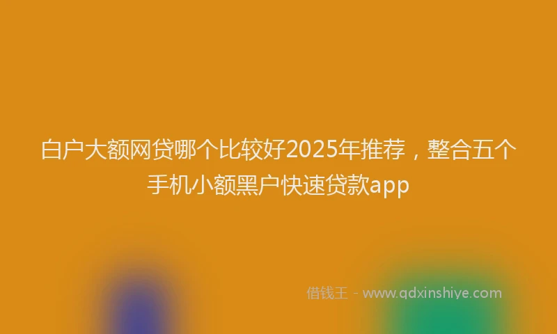 白户大额网贷哪个比较好2025年推荐，整合五个手机小额黑户快速贷款app