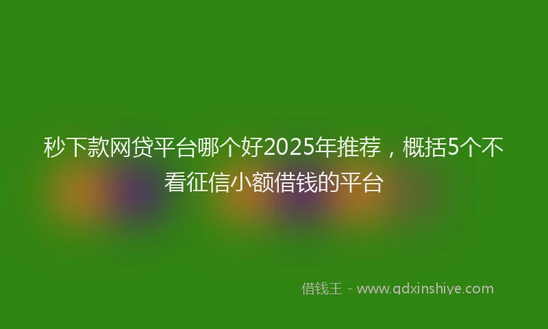 秒下款网贷平台哪个好2025年推荐，概括5个不看征信小额借钱的平台