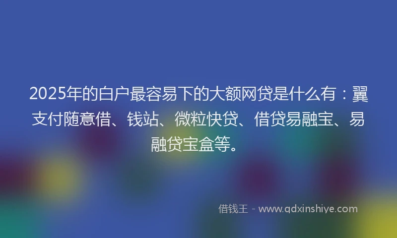 2025年的白户最容易下的大额网贷是什么有：翼支付随意借、钱站、微粒快贷、借贷易融宝、易融贷宝盒等。