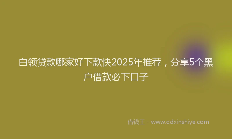 白领贷款哪家好下款快2025年推荐，分享5个黑户借款必下口子