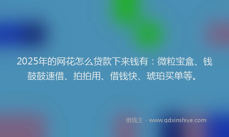 2025年的网花怎么贷款下来钱有：微粒宝盒、钱鼓鼓速借、拍拍用、借钱快、琥珀买单等。