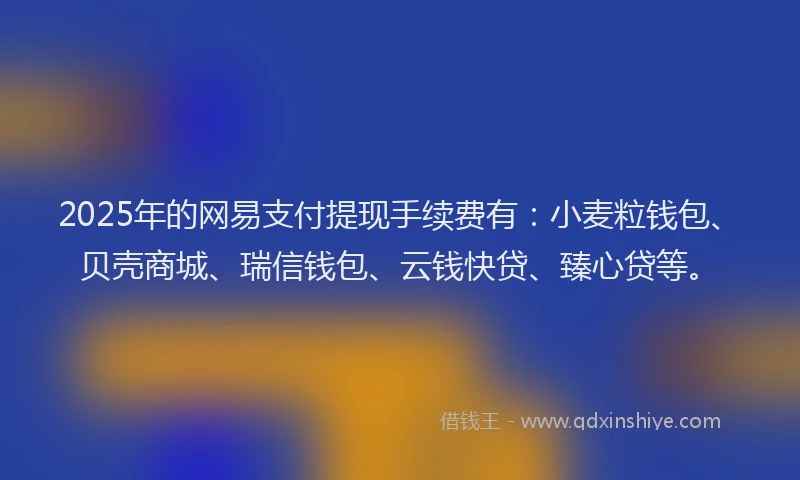 2025年的网易支付提现手续费有：小麦粒钱包、贝壳商城、瑞信钱包、云钱快贷、臻心贷等。