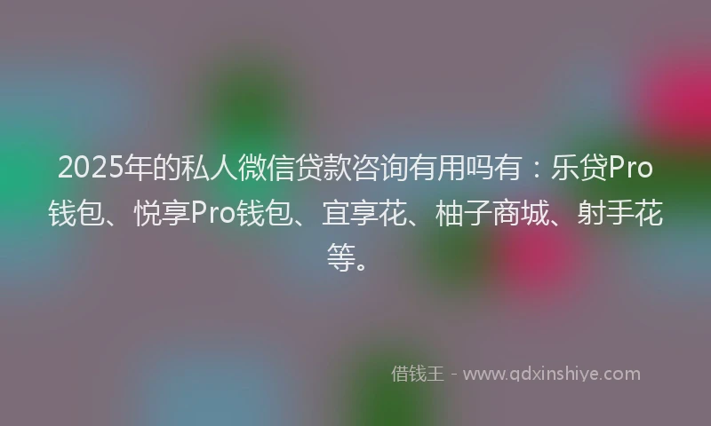 2025年的私人微信贷款咨询有用吗有：乐贷Pro钱包、悦享Pro钱包、宜享花、柚子商城、射手花等。