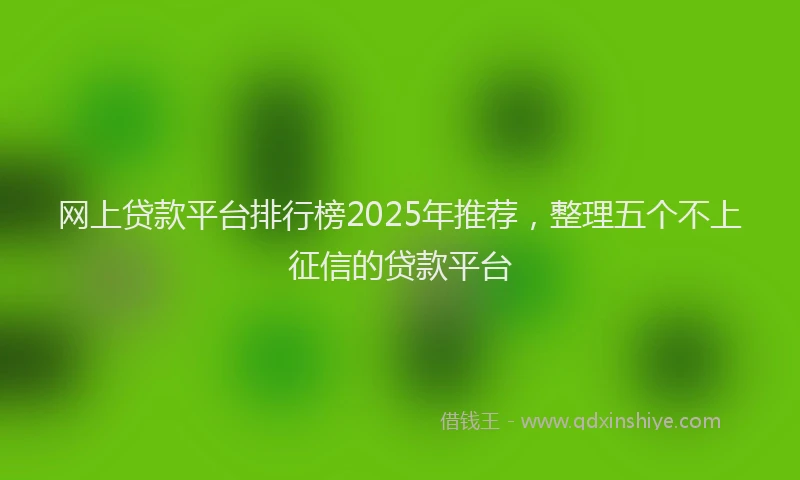 网上贷款平台排行榜2025年推荐，整理五个不上征信的贷款平台