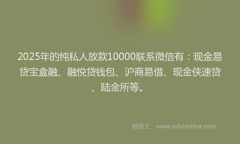 2025年的纯私人放款10000联系微信有：现金易贷宝盒融、融悦贷钱包、沪商易借、现金侠速贷、陆金所等。