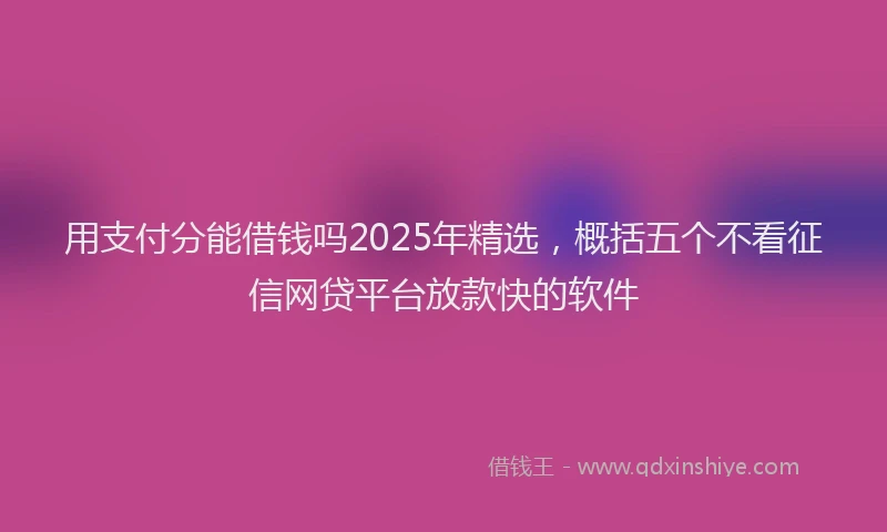 用支付分能借钱吗2025年精选，概括五个不看征信网贷平台放款快的软件