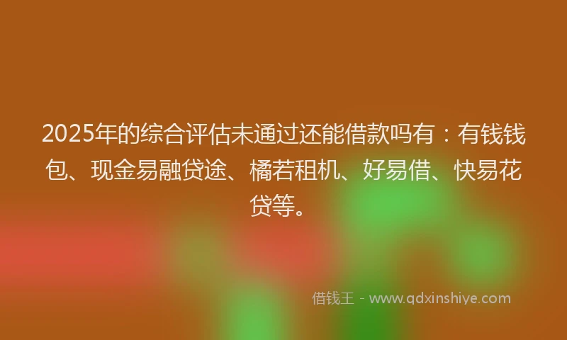 2025年的综合评估未通过还能借款吗有：有钱钱包、现金易融贷途、橘若租机、好易借、快易花贷等。