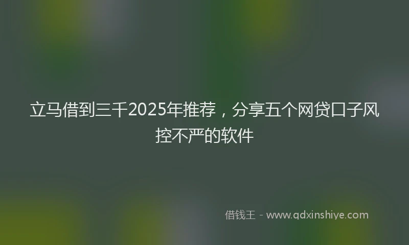 立马借到三千2025年推荐，分享五个网贷口子风控不严的软件