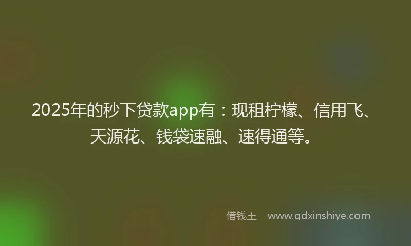 2025年的秒下贷款app有：现租柠檬、信用飞、天源花、钱袋速融、速得通等。