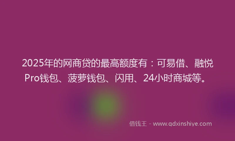 2025年的网商贷的最高额度有：可易借、融悦Pro钱包、菠萝钱包、闪用、24小时商城等。