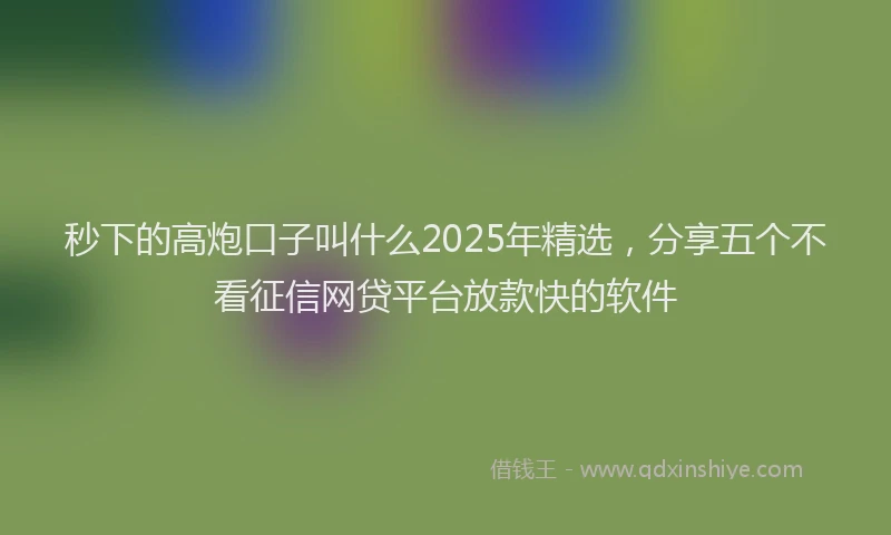 秒下的高炮口子叫什么2025年精选，分享五个不看征信网贷平台放款快的软件