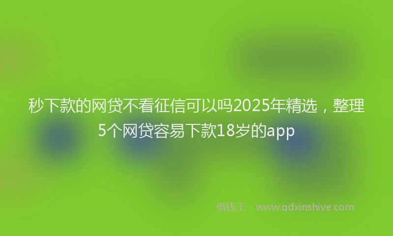 秒下款的网贷不看征信可以吗2025年精选，整理5个网贷容易下款18岁的app