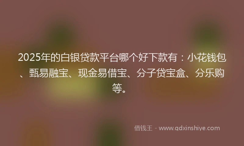 2025年的白银贷款平台哪个好下款有：小花钱包、甄易融宝、现金易借宝、分子贷宝盒、分乐购等。